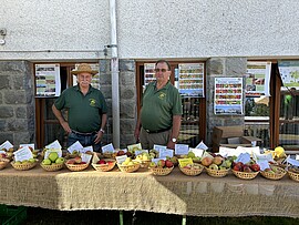 Banner Kreis-Gartenkirta