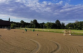 Banner Working Equitation -Kurs mit Kathrin Frankenberger