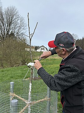 Banner Veredelungskurs