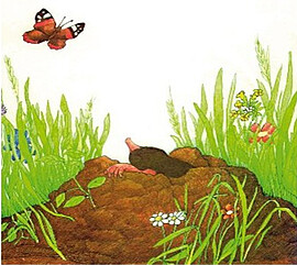 Banner Lesestunde "Der Maulwurf Grabowski"