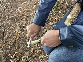 Banner ab nach draussen