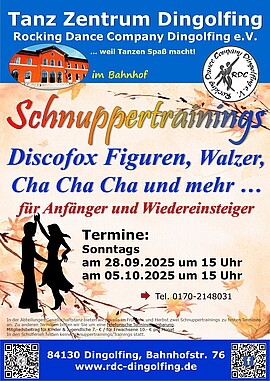 Banner Schnuppertraining Discofox Figuren Gesellschaftstanz
