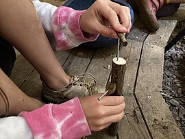 Banner Waldabenteuer