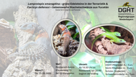 Banner Lamprolepis smaragdina – grüne Edelsteine in der Terraristik & Cachryx defensor – liebenswerte Stachelschwänze aus Yucatán
