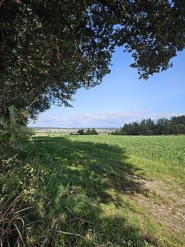 Banner Naturerlebnis Wanderung - Dellendorfer Holzwiesenweg