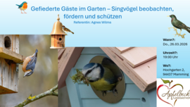 Banner Vortrag: Gefiederte Gäste im Garten – Singvögel beobachten, fördern und schützen!