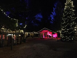 Banner Waldweihnacht