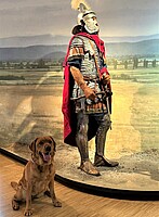 Logo Hundetag - Mit dem Hund ins Museum