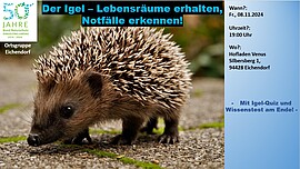 Banner Der Igel - Lebensräume erhalten, Notfälle erkennen