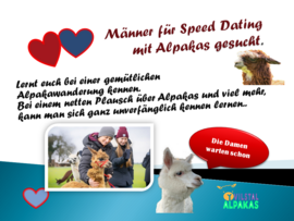 Banner Alpaka-Wanderung Speed Dating Herren gesucht