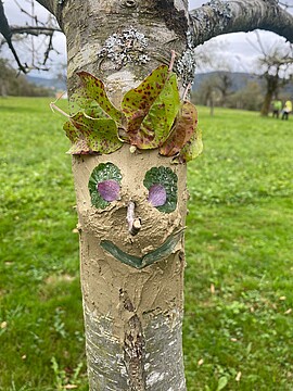 Banner Ausbildung zum Streuobstpädagogen 2026