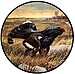 Logo Spielhahnschützen Buch e.V.