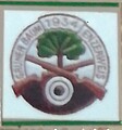Logo Schützenverein Grüner Baum Enzerweis