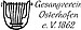 Logo Gesangverein Osterhofen 1862 e.V.