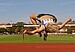 Logo TV 1885 Eggenfelden - Leichtathletik - Leistungsgruppe
