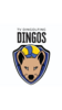 Logo TV Dingos (Volleyball des TV Dingolfing)