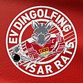 Logo EV Dingolfing "Isar Rats" e.V.