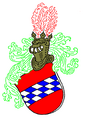 Logo Förderverein der Freunde und Gönner der Burgruine Altnußberg e.V.